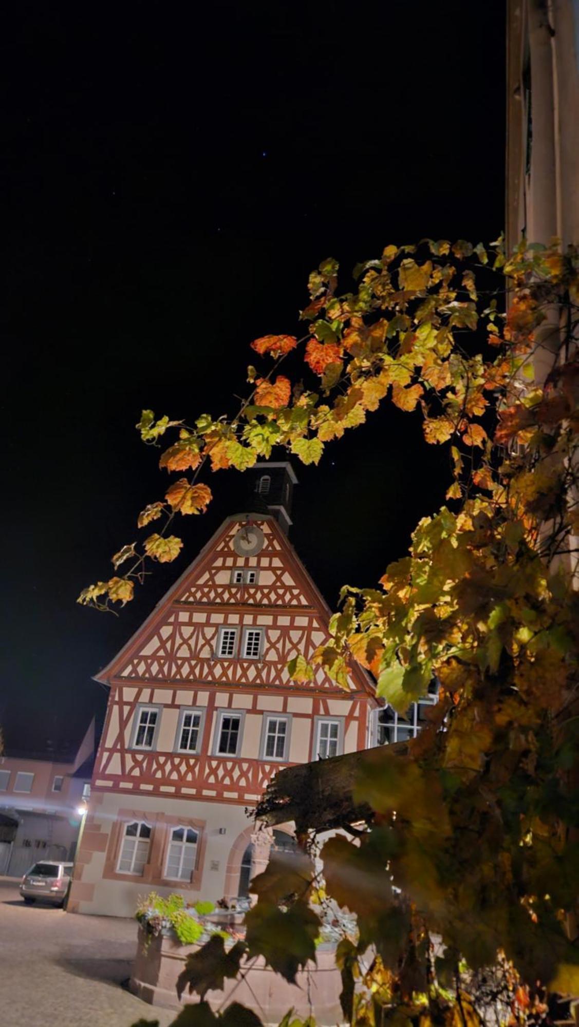 Brunnenputzer Pension Restaurant Kulsheim Exterior foto
